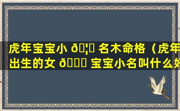 虎年宝宝小 🦊 名木命格（虎年出生的女 🐒 宝宝小名叫什么好）